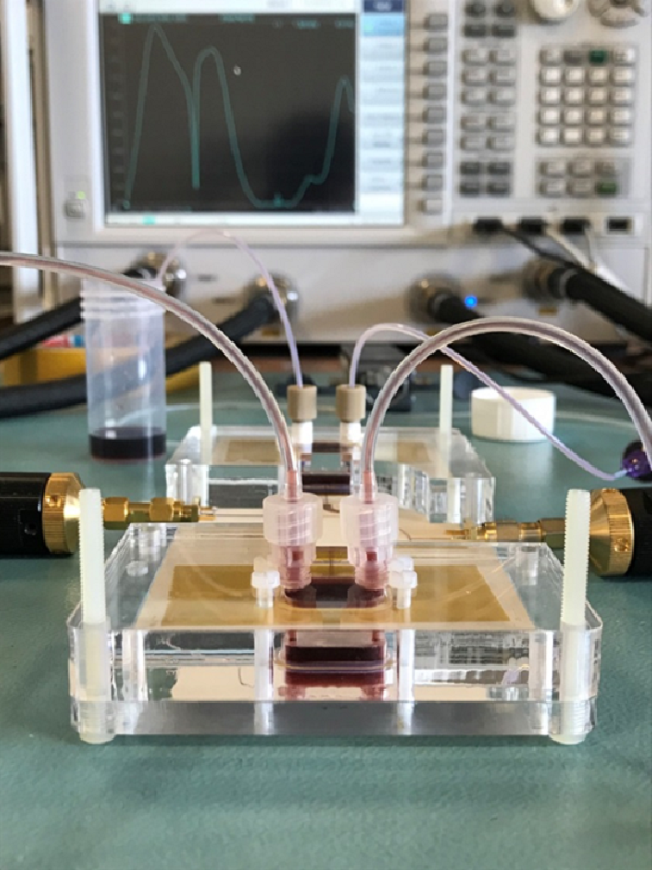 Imagen de PostDoc en García Carrión